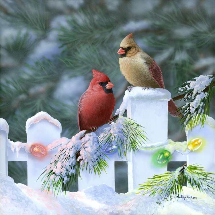 "Christmas Cardinals" "Christmas Cardinals"